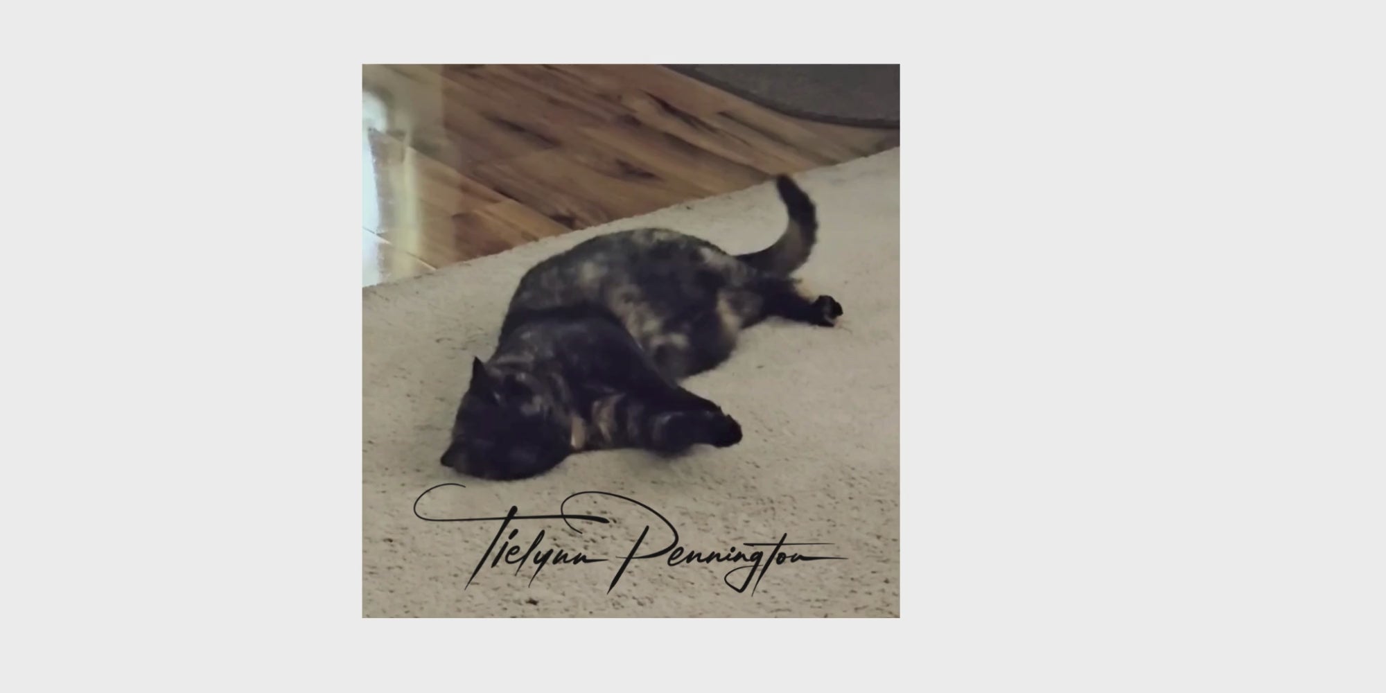 Load video: Video of Sandy present day.